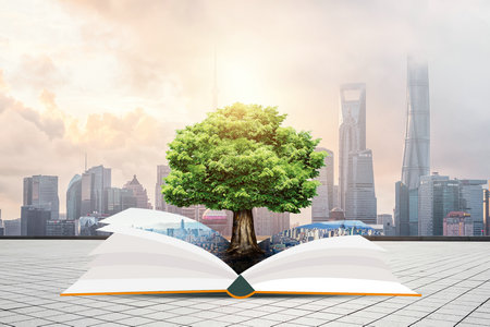 中南林業科技大學在職研究生報名入口