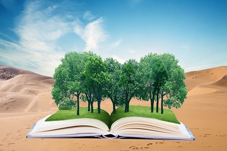 中國政法大學專業碩士學制學費