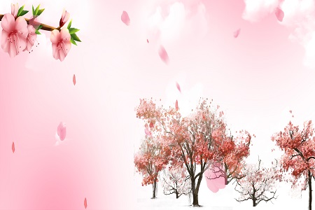  北京師范大學高級研修班有哪些課程？