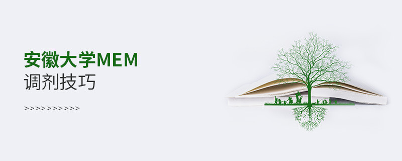 安徽大學MEM調劑技巧詳解！