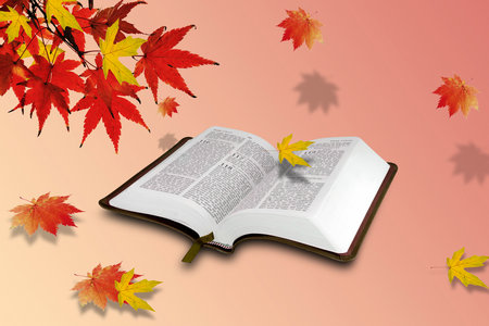 華東師范大學(xué)專(zhuān)業(yè)碩士落戶 華東師范大學(xué)專(zhuān)業(yè)碩士落戶