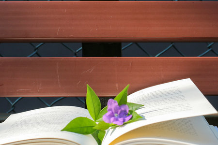 遼寧師范大學非全日制研究生上課時間