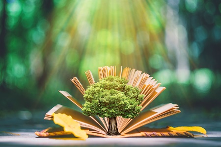 中國人民大學課程培訓班報考條件有哪些？