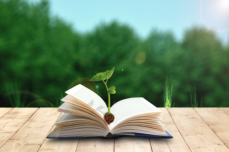 復旦大學非全日制研究生EMBA專業報考時間？