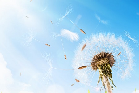 報考南昌大學MPA專業需要經歷什么樣的流程？