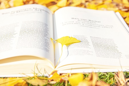 上海對外經貿大學MF可以獲得雙證嗎？