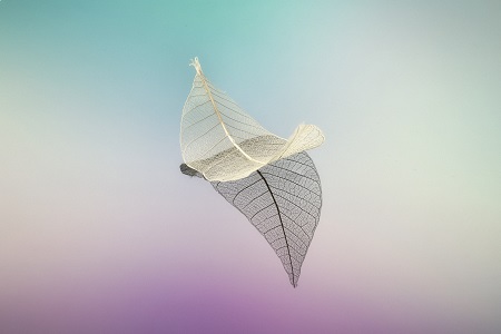 西南交通大學非全日制研究生無工作經驗可以報考嗎？