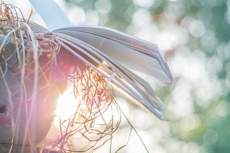 上海大學非全日制研究生怎么上課？