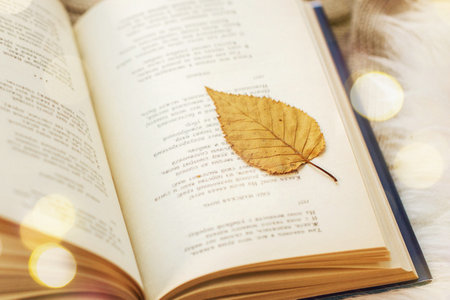 東北財經大學在職研究生可以先學后考嗎