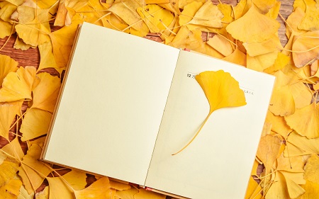 西南交通大學MBA證書優勢！