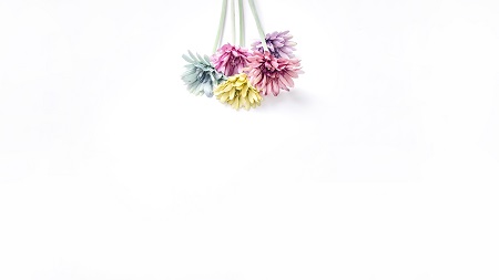 西南大學MBA報考方式 西南大學MBA報考方式