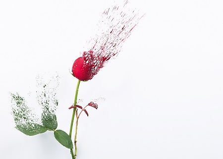 西北大學MPA論文答辯技巧! 西北大學MPA論文答辯技巧!