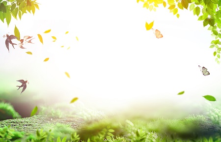 報考西南大學MF對英語等級有要求嗎? 報考西南大學MF對英語等級有要求嗎?