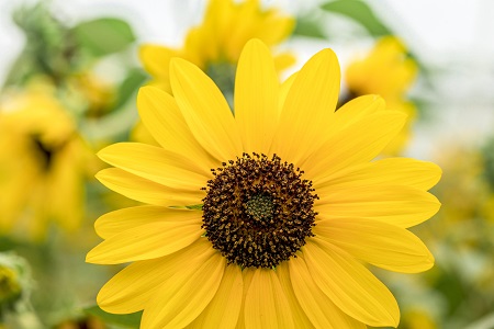 西北大學MF報考流程介紹！