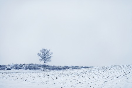 報考清華大學EMBA會影響工作嗎? 報考清華大學EMBA會影響工作嗎?