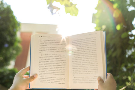 法國尼斯大學國際博士報考條件 法國尼斯大學國際博士報考條件