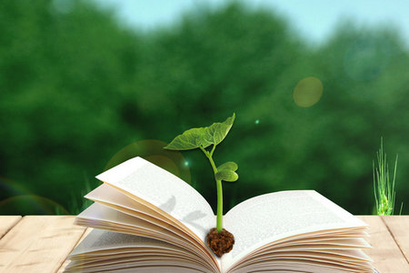 北京工業(yè)大學MPA學制學費