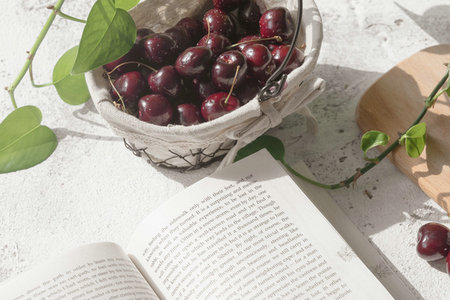 國內國際貿易學在職研究生開課院校