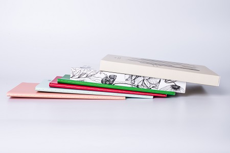 湖南大學(xué)MEM專業(yè)復(fù)試時(shí)需要進(jìn)行哪些審核？