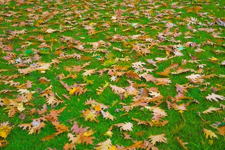  西南財經大學MBA復試流程介紹