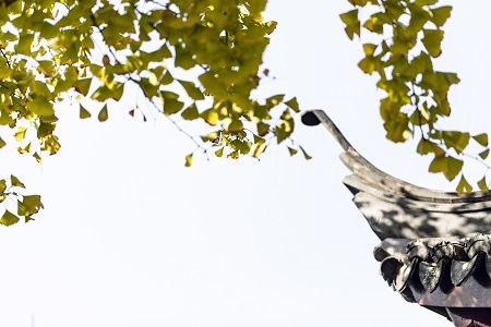 西南交通大學同等學力申碩有沒有網(wǎng)絡班？