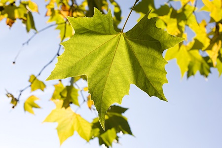 西南交通大學在職研究生報考方式介紹