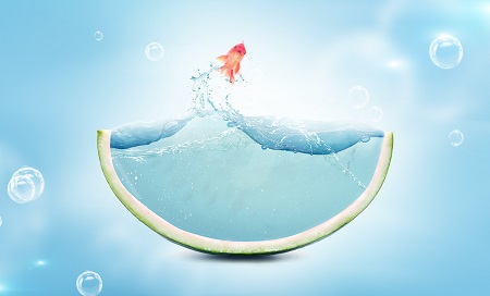 首都經濟貿易大學MPA報考流程是什么？