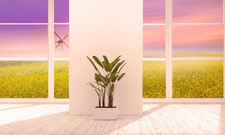 中南財經政法大學非全日制研究生調劑時間是什么時候？