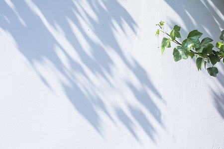 西南財經(jīng)大學MBA上課方式有哪些? 西南財經(jīng)大學MBA上課方式有哪些?