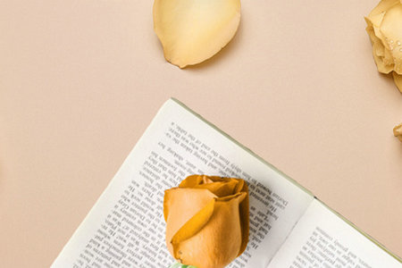 東北林業大學MPAcc報名及考試時間