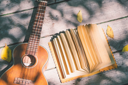 河南農(nóng)業(yè)大學(xué)MPAcc報(bào)名及考試時(shí)間