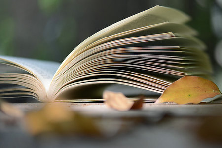 河南大學(xué)MEM報(bào)考條件