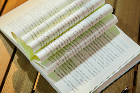 單證在職研究生