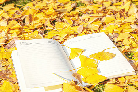 中國社會科學院研究生院在職博士報名及考試時間