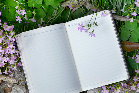 南京農(nóng)業(yè)大學在職研究生上學時間 南京農(nóng)業(yè)大學在職研究生上學時間