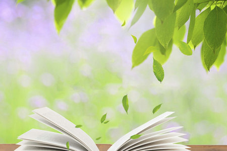 大專在職研究生免試入學是怎么回事