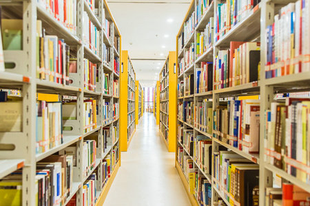 同等學力申碩考試科目 同等學力申碩考試科目