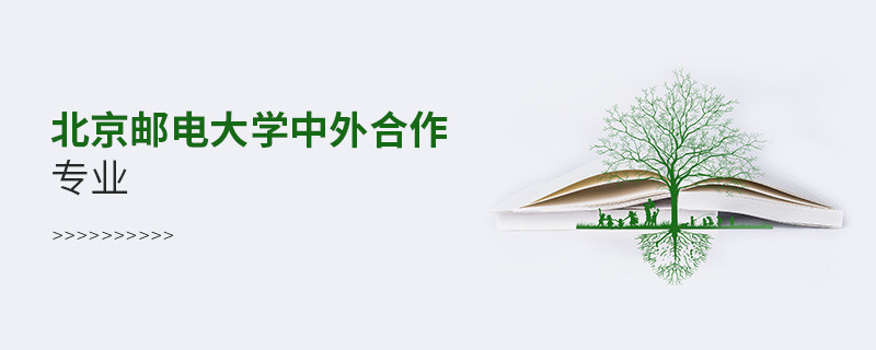 北京郵電大學中外合作專業
