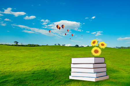 云南農(nóng)業(yè)大學(xué)MEM報名及考試時間