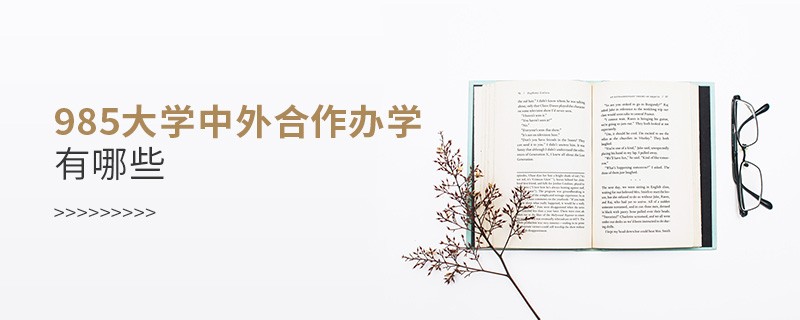 985大學(xué)中外合作辦學(xué)有哪些