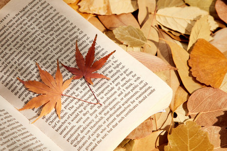 好就業(yè)的碩士專業(yè)排名