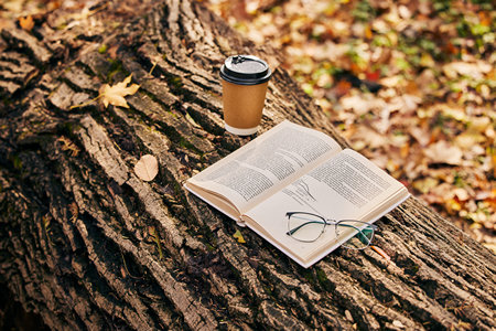 mfa藝術碩士含金量