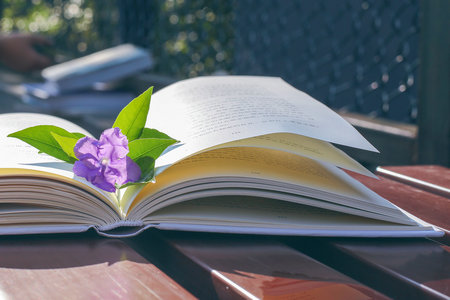 歐洲塞萬提斯大學(xué)報考條件及流程 歐洲塞萬提斯大學(xué)報考條件及流程