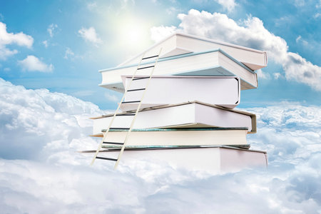 西班牙赫羅納大學(xué)報(bào)考條件