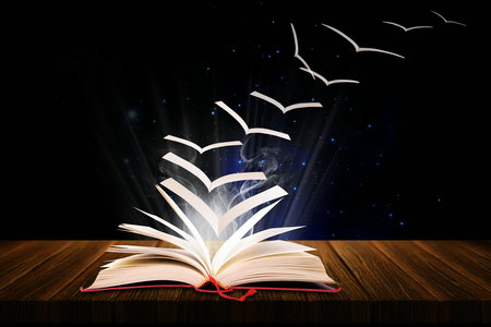 法國昂熱大學報考條件 法國昂熱大學報考條件