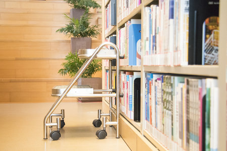 景德鎮(zhèn)陶瓷大學(xué)在職研究生報(bào)名及考試時(shí)間 景德鎮(zhèn)陶瓷大學(xué)在職研究生報(bào)名及考試時(shí)間