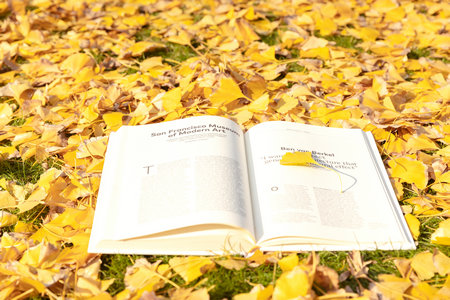 湖北在職研究生報(bào)名入口