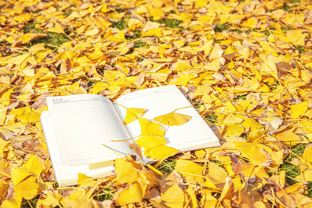 香港中文大學報名及考試時間