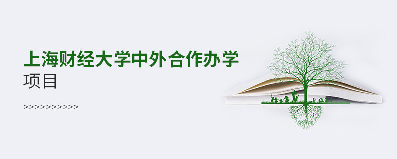 上海財經(jīng)大學中外合作辦學項目