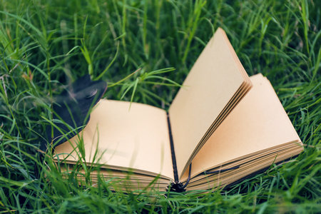 資產(chǎn)評估非全日制研究生報名入口 資產(chǎn)評估非全日制研究生報名入口